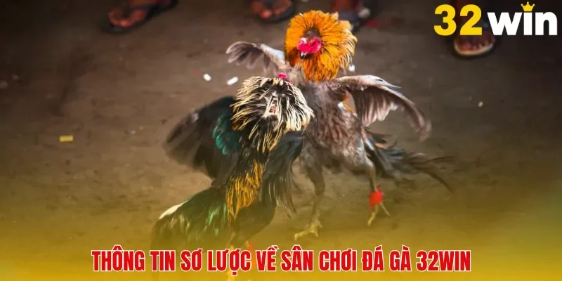 Thông tin sơ lược về sân chơi đá gà 32Win