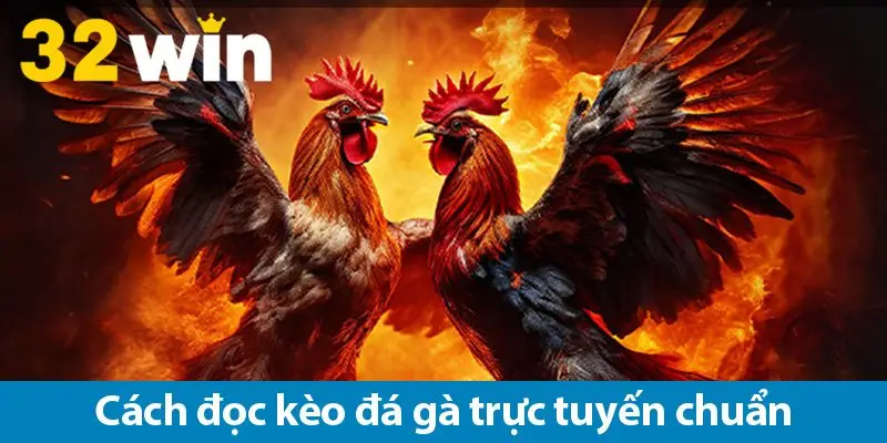 Hướng dẫn đọc kèo và cách bắt kèo đá gà online chuẩn cho bet thủ