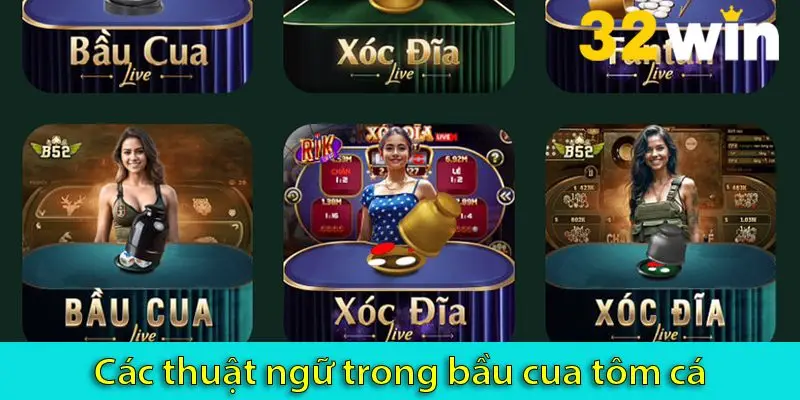 Bầu Cua đổi thưởng: Thuật ngữ và cách chơi chi tiết 2025